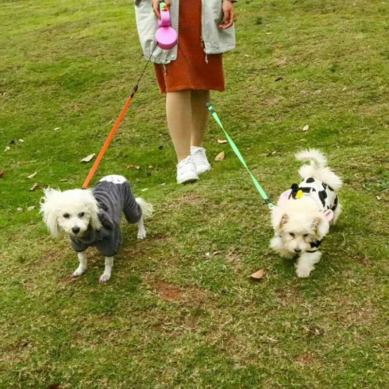 2-In-1 Dog Leash